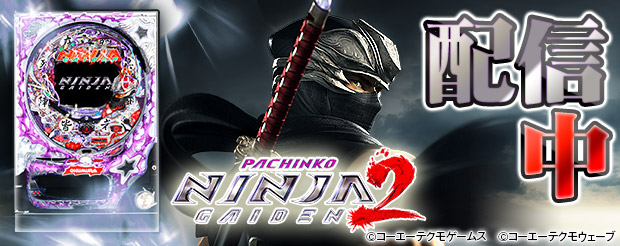 ninjagaiden_gameimage.jpg